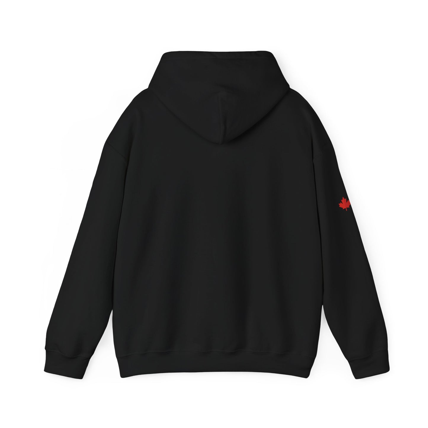 We Stand On Guard For Thee Hoodie