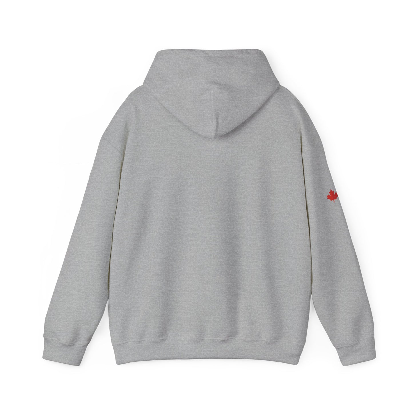 Calibrating Our Relationships Hoodie