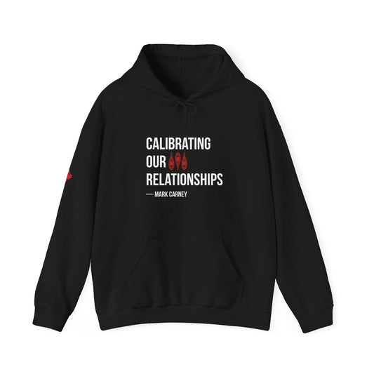 Calibrating Our Relationships Hoodie