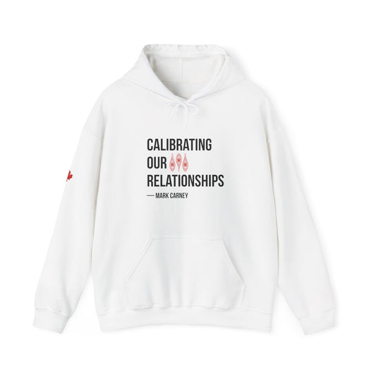 Calibrating Our Relationships Hoodie